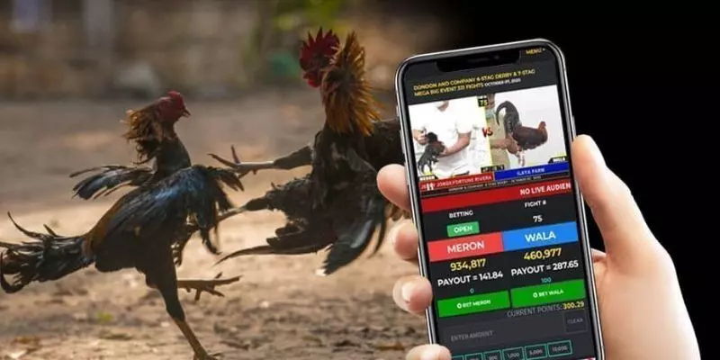 Explore the Sabong Online Cockfighting Betting Hall at 747live